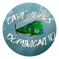 Capi tours - Dominicalito